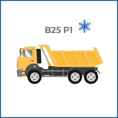 Зимовий бетон В25 (М350) С20/25 П-1 F200 W6 М5